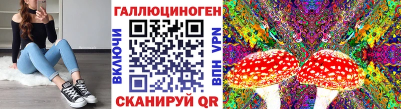 Псилоцибиновые грибы Cubensis  Бугульма 